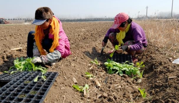 ���2022���r(n��ng)�I(y��)���a(ch��n)��һ�� ���u��ī�^(q��)����(sh��)���M(j��n)��������