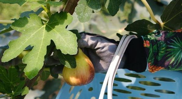 ����Ԓ�S�գ����u�м�ī�^(q��)��Ȫ�ֵ����o����ϲ�S�� ����ܛŴ���ː�