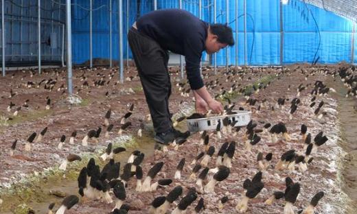 ��ī�^(q��)����(zh��n)��СС��Ǿ������l(xi��ng)�����d���¸��㡱