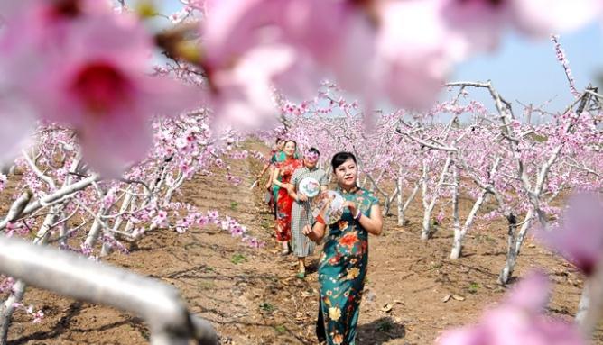 ���u�м�ī�^(q��)�һ�ʢ�_ӭ�ο� �r(n��ng)���ںϴ��¸�