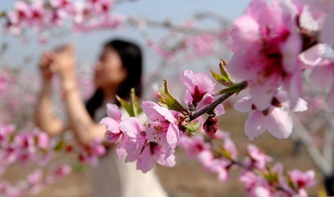 ���u�м�ī�^(q��)�һ�ʢ�_ӭ�ο� �r(n��ng)���ںϴ��¸�